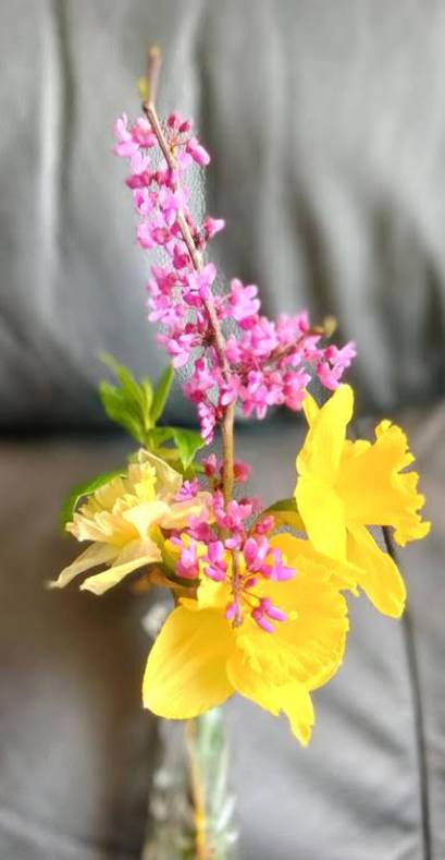 Bishop Kae's Palm Sunday Reflection